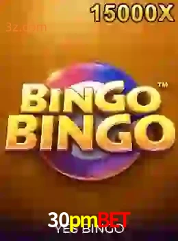 bingobingo